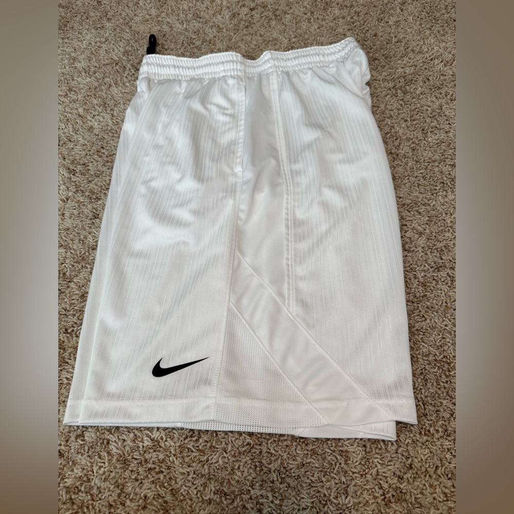 Men’s nike shorts size large